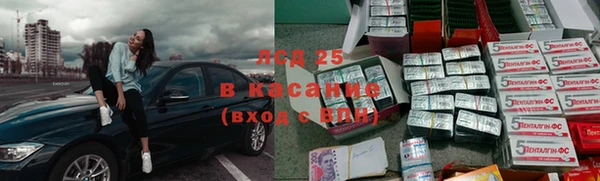 ПСИЛОЦИБИНОВЫЕ ГРИБЫ Абаза