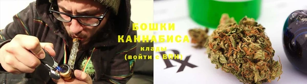 ПСИЛОЦИБИНОВЫЕ ГРИБЫ Абаза