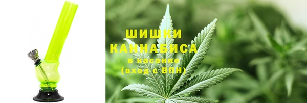 ПСИЛОЦИБИНОВЫЕ ГРИБЫ Абаза