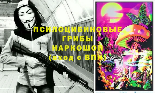 ПСИЛОЦИБИНОВЫЕ ГРИБЫ Абаза