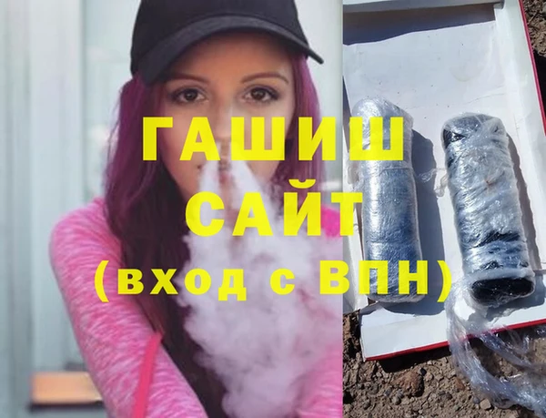 индика Пестово