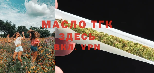 СК Алексин