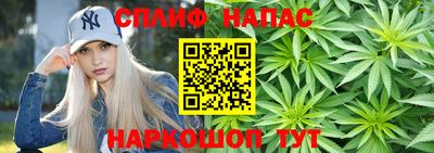 крисы Краснодар