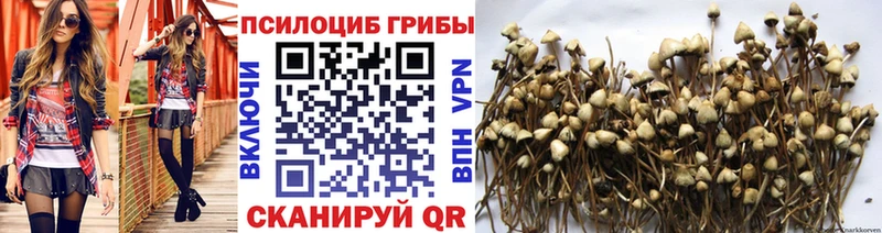 закладки  Керчь  Галлюциногенные грибы мицелий 