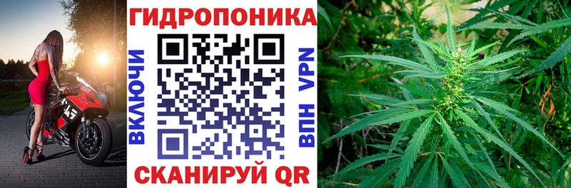 МАРИХУАНА семена  гидра ссылка  Керчь 
